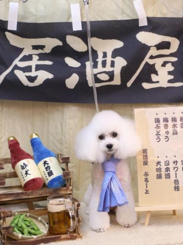 20240618ゆわちゃん